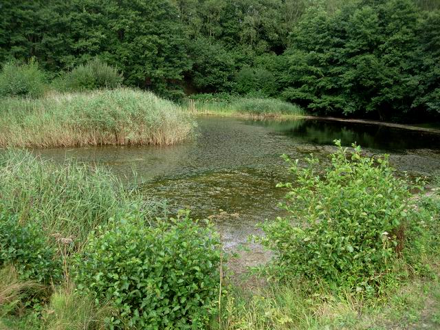 File:Clay Pit - geograph.org.uk - 225347.jpg