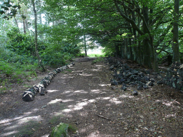 File:Dry Stone Wall in the process of being repaired - geograph.org.uk - 543774.jpg