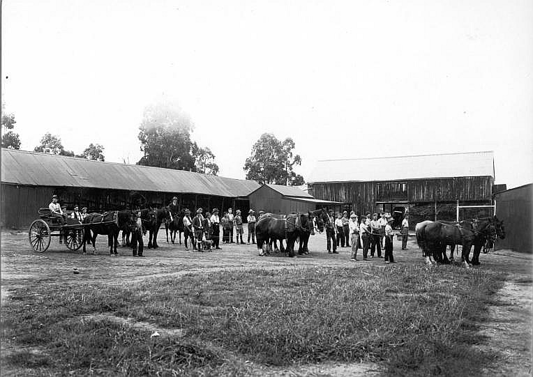 File:Farm horses (2654873946).jpg