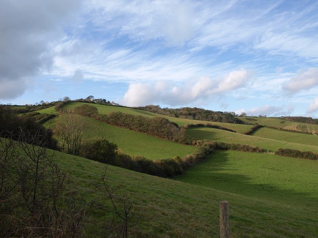 File:Fields from the coast path - geograph.org.uk - 1569384.jpg