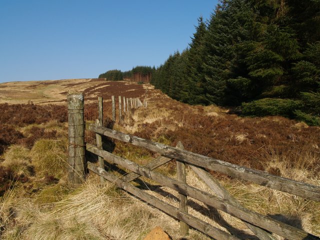 File:Gate and fence, Auldton Fell - geograph.org.uk - 385930.jpg