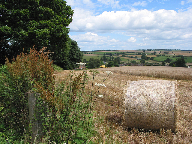 File:Harvesting the barley - geograph.org.uk - 508713.jpg