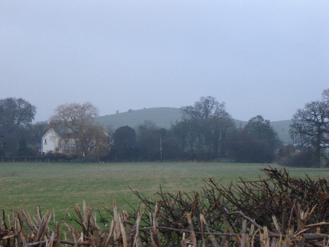 File:Horsedown Common - geograph.org.uk - 102359.jpg