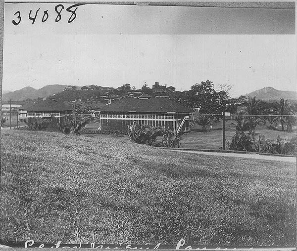 File:Houses, street, trees (3607562369).jpg