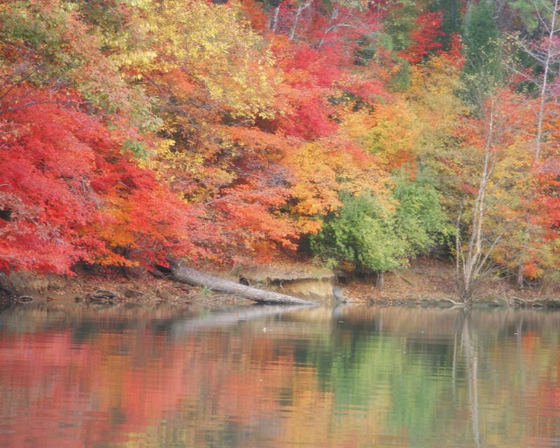 https://upload.wikimedia.org/wikipedia/commons/1/18/Lake_Wylie_in_autumn.jpg