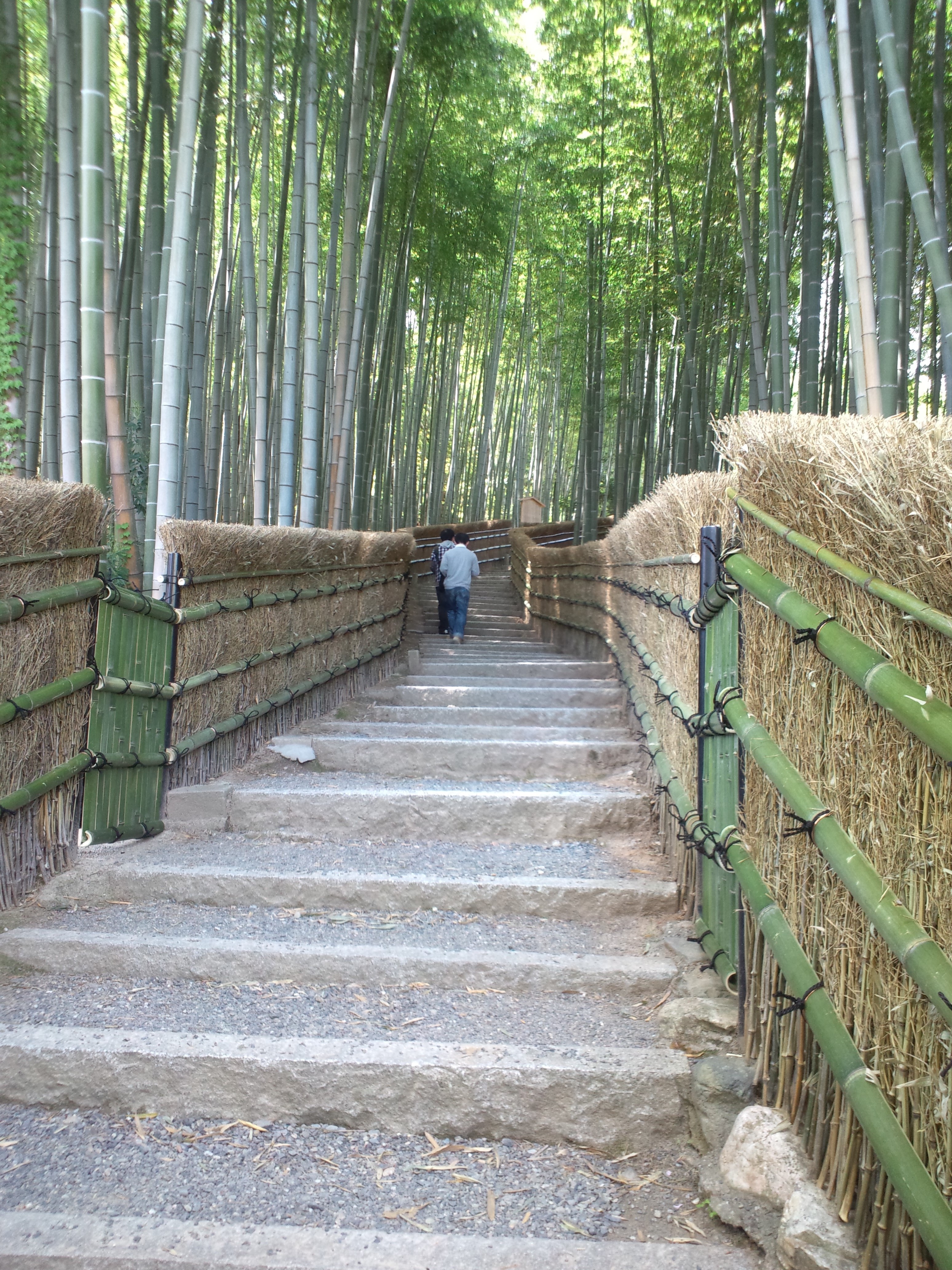File Le Temple Adashino Nenbutsu Ji La Foret De Bambous2 Jpg Wikimedia Commons