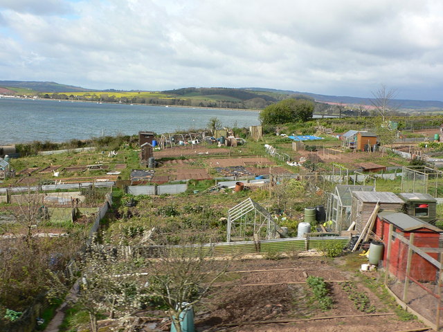 File:Lympstone allotments - geograph.org.uk - 760565.jpg