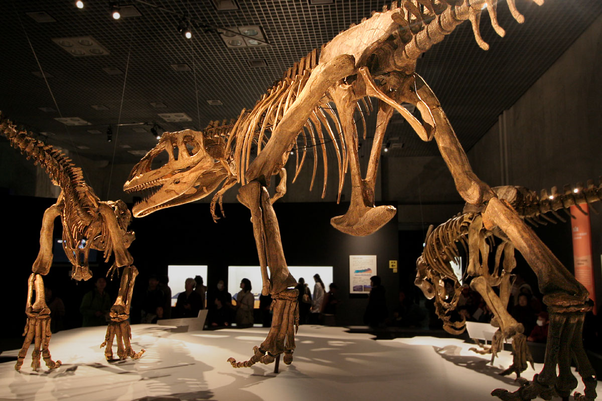 File:Mapusaurus.jpg - Wikipedia.