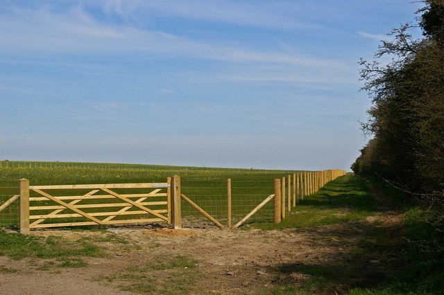File:Not The Footpath to the Cliffs - geograph.org.uk - 389404.jpg