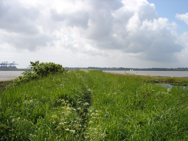 Old riverside path - geograph.org.uk - 1312409