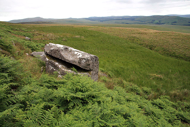 File:Peden's Stone - geograph.org.uk - 881172.jpg