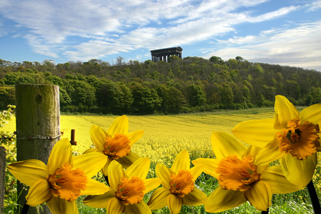 Penshaw Monument - geograph.org.uk - 1188858