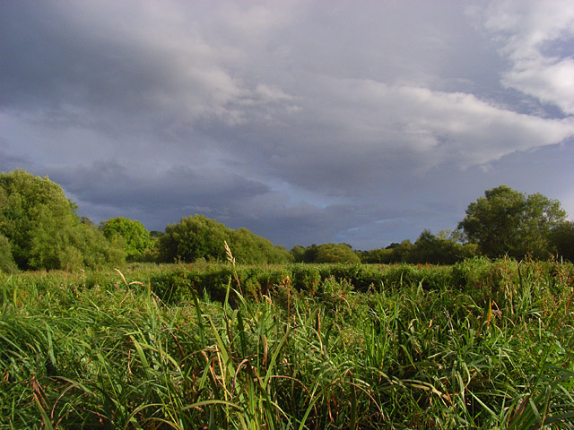 File:Rack Marsh, Bagnor - geograph.org.uk - 925042.jpg