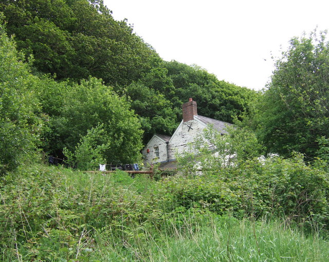 File:Rhiwlas in the woods - geograph.org.uk - 445661.jpg