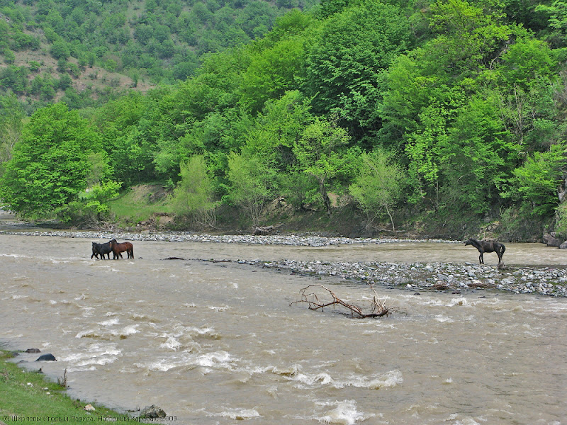 File:River in Khandzk, Nagorno-Karabakh.jpg