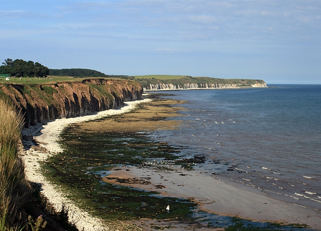 File:Shoreline at Sewerby - geograph.org.uk - 883385.jpg