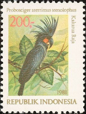 File:Stamp of Indonesia - 1981 - Colnect 255690 - Palm Cockatoo Probosciger aterrimus ssp stenolophus.jpeg