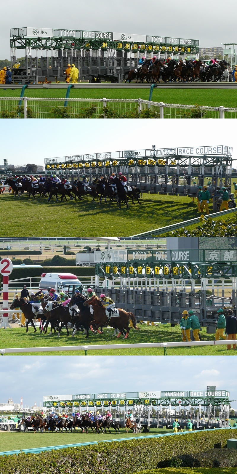 File:Starting-gate(JRA).jpg - Wikimedia Commons