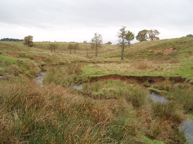 File:Tatton Park Deer Enclosure - geograph.org.uk - 84630.jpg