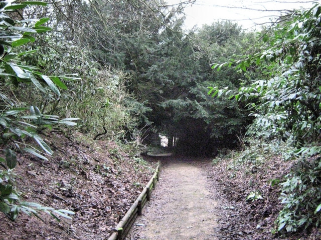 File:The Bateman Walk through the Tranquillity Gardens - geograph.org.uk - 1715357.jpg