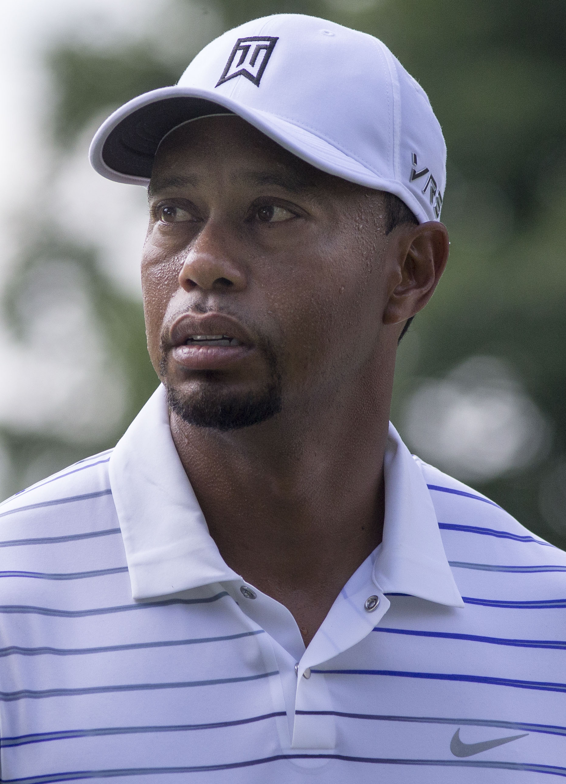 Tiger Woods photo #96201, Tiger Woods image