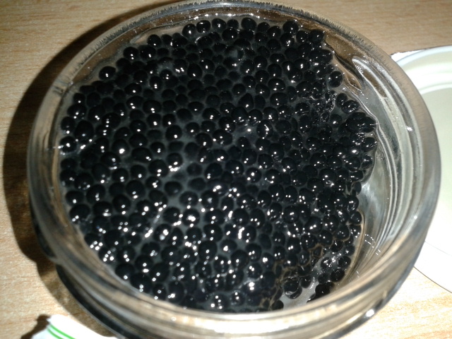 File:Vegetarian caviar from algae 'Laminaria hyperborea' (in jar).jpg