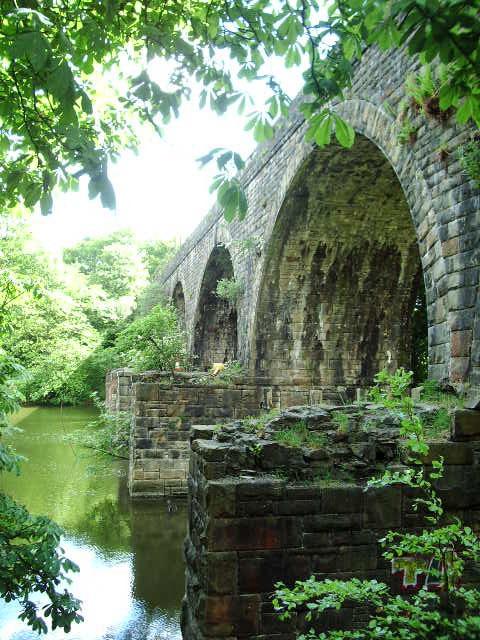 Kirklees Brook