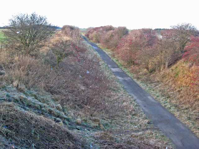 File:W2W cycle route, Moorsley Road, Hetton-le-Hole - geograph.org.uk - 314104.jpg