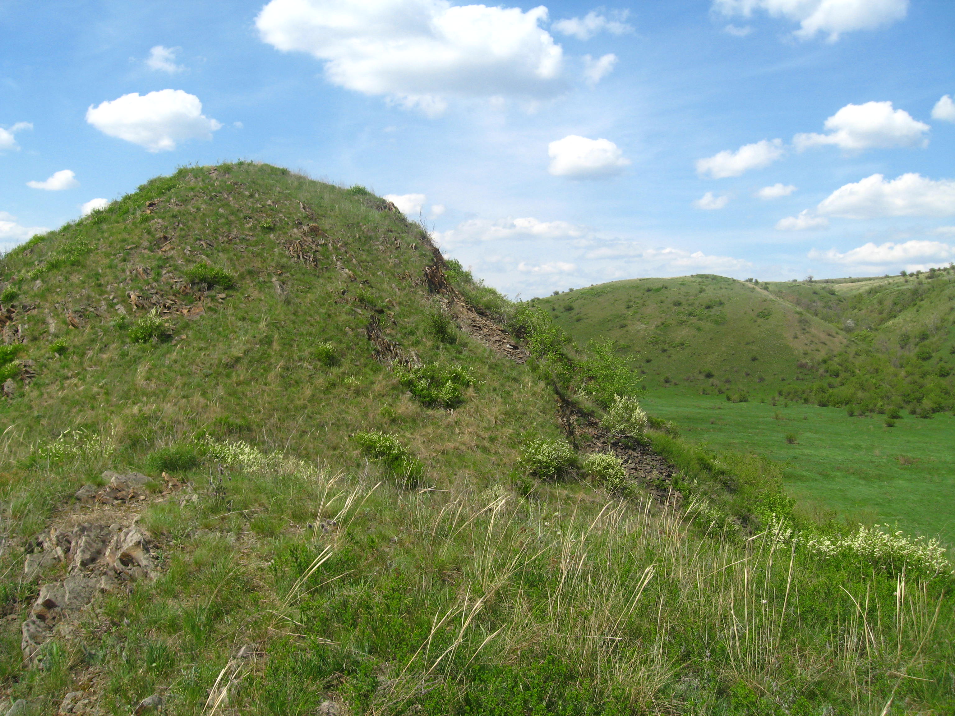 Ангарский кряж