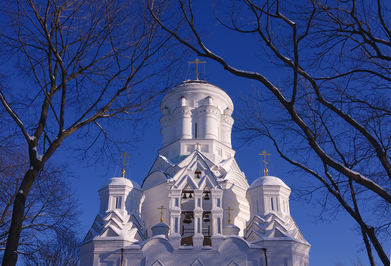 Церковь усекновения главы иоанна предтечи в дьякове фото