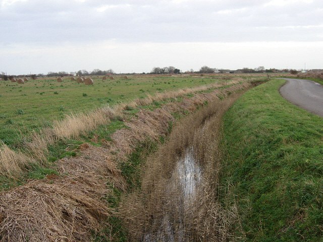 File:A Pleasing Curve - geograph.org.uk - 290881.jpg