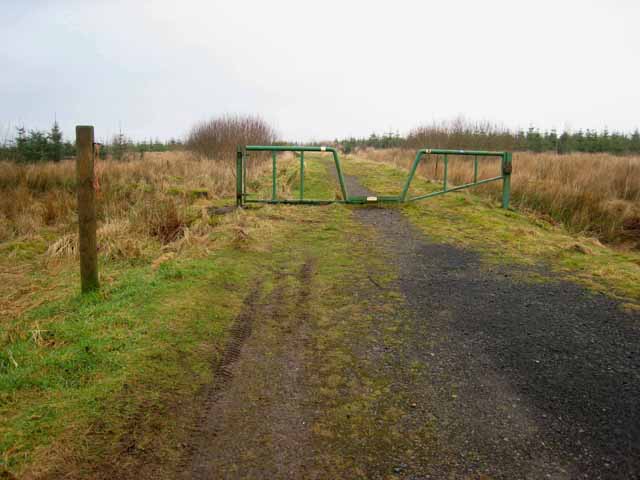 File:Access control in Kershope Forest - geograph.org.uk - 691204.jpg