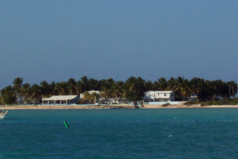 File:Anegada Palms.jpg