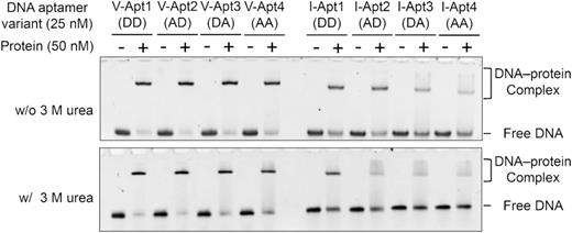 File:Aptamer gel mobility shift assay.jpg