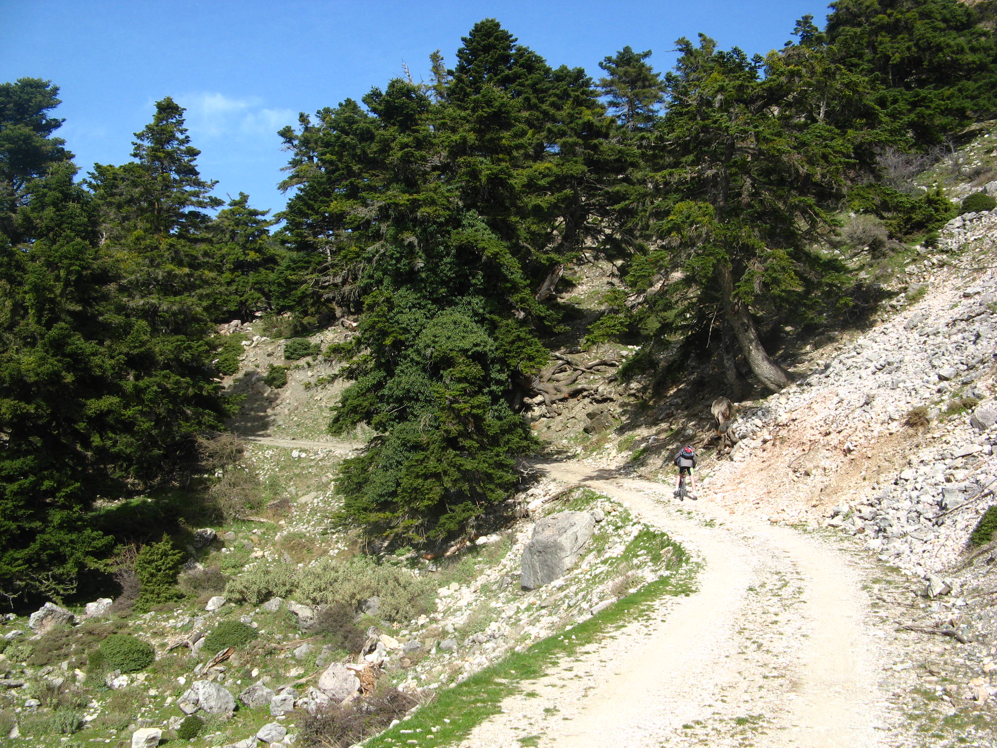 File:Ascening path, Panachaiko Mountains, Greece.jpg - Wikipedia