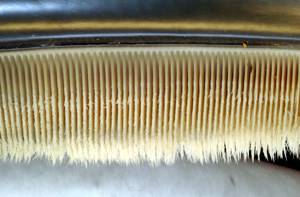 Baleen keratin structure in whales, used for flexible stiffening