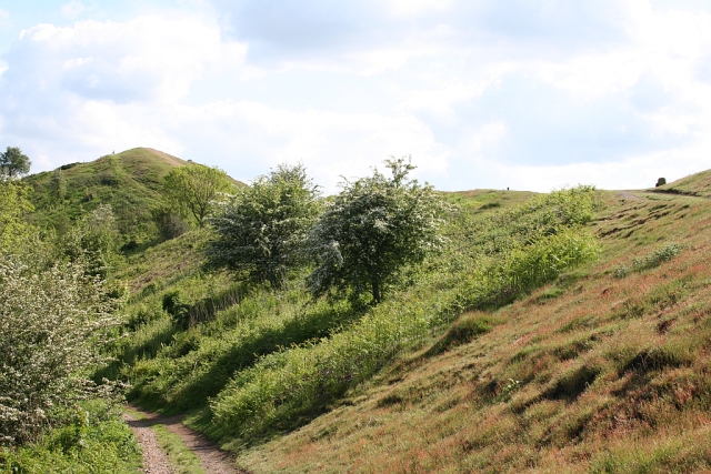 File:Black Hill from the North - geograph.org.uk - 445161.jpg