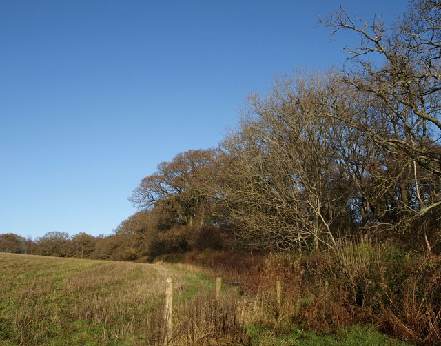 Blackball Plantation - geograph.org.uk - 1612794