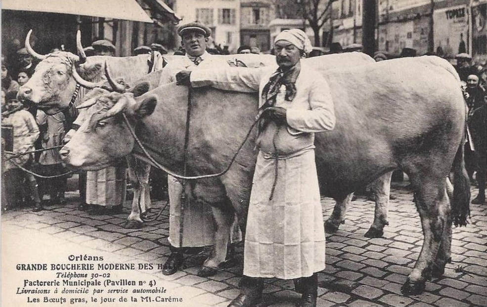 Viande bovine — Wikipédia