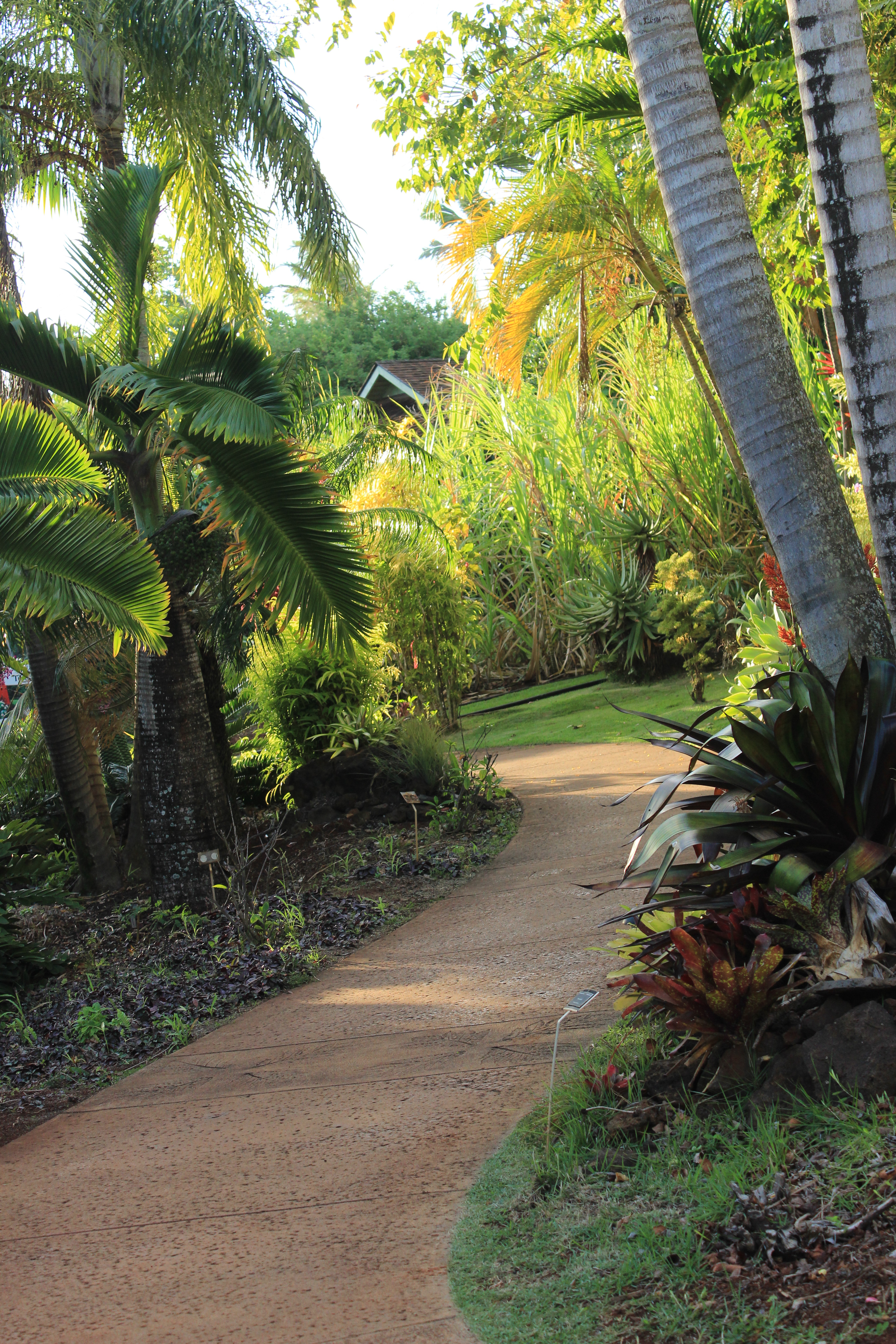 File Botanical Gardens Kauai Hawaii Panoramio 5 Jpg