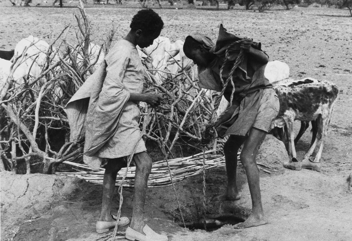 File:COLLECTIE TROPENMUSEUM Twee jongen putten water voor het vee uit een traditionele waterput Dori TMnr 20010684.jpg