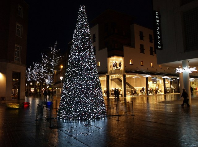 File:Christmas tree, Exeter - geograph.org.uk - 614378.jpg