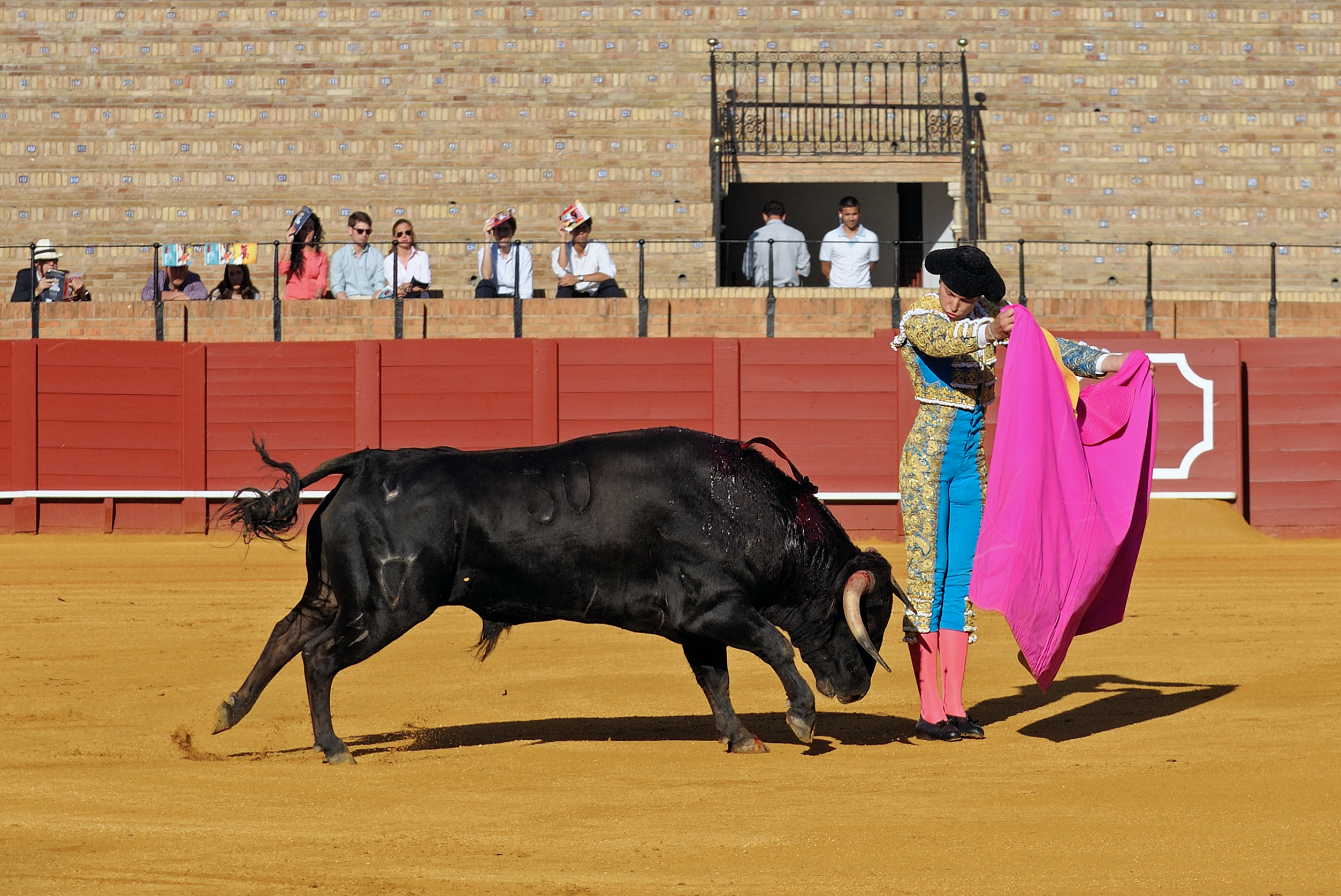 Cuanto cuesta un capote de torero