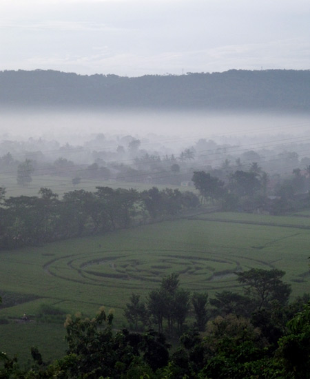 File:Crop Circle in Berbah Sleman - panoramio.jpg