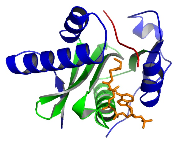 File:Crystal structure of Tetrahymena Gcn5 with bound coenzyme A and histone H3 peptide.png