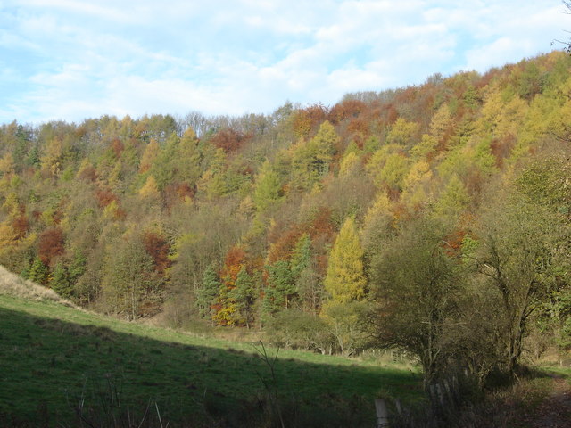 File:Deep Dale - geograph.org.uk - 1035174.jpg