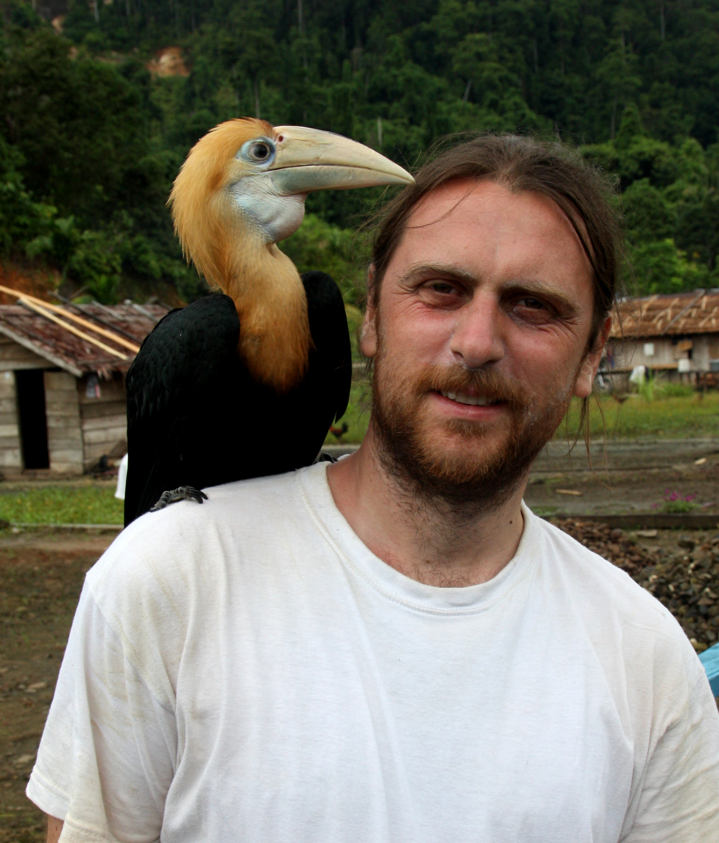 With Blyth's hornbill in Indonesia, February 2012