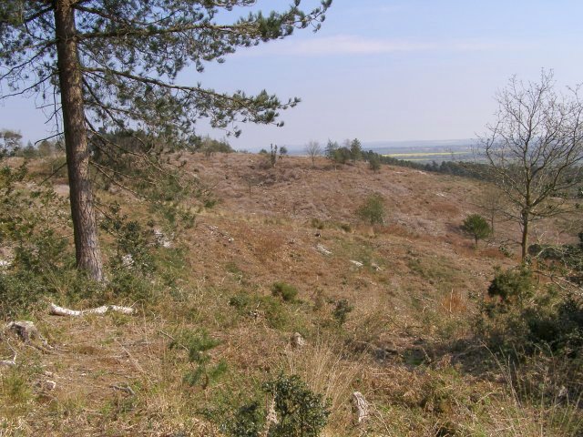 File:Duddle Heath - geograph.org.uk - 396031.jpg