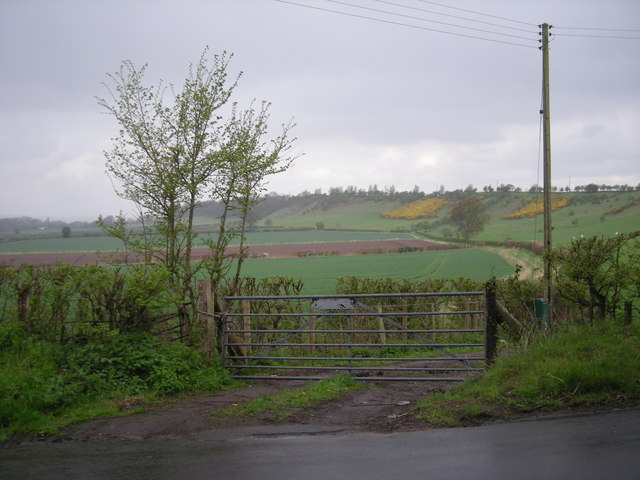 File:Escarpment of Abbot's Castle Hill - geograph.org.uk - 783445.jpg