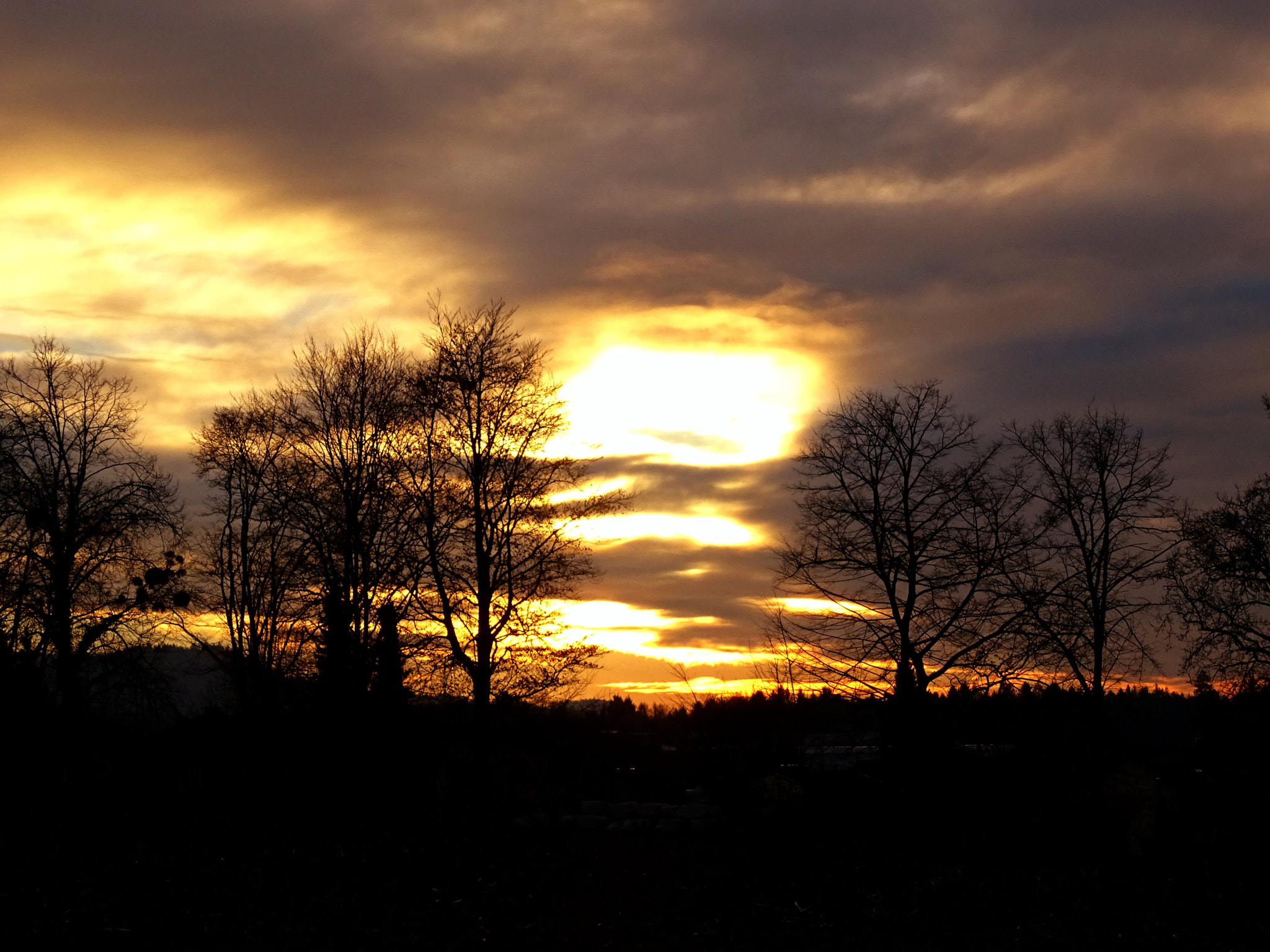 Evening light